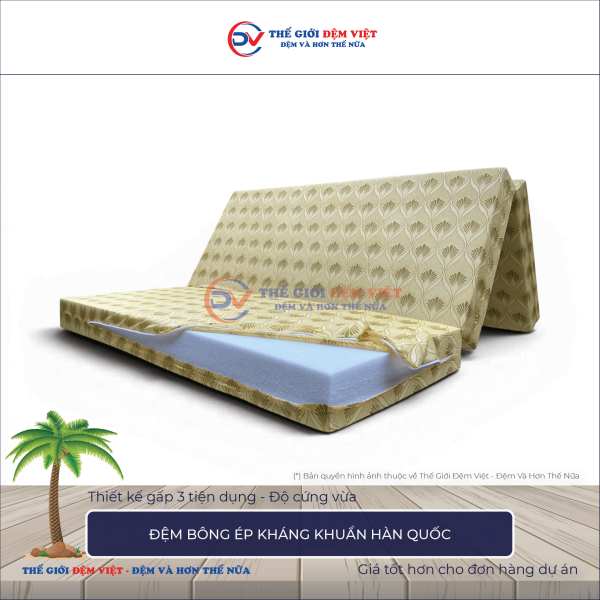 Đệm bông ép Hàn Quốc